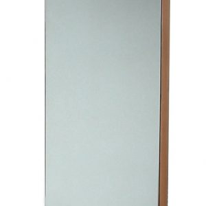 MIRROR 550